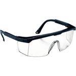 Oculos-de-seguranca-Spectra-2000
